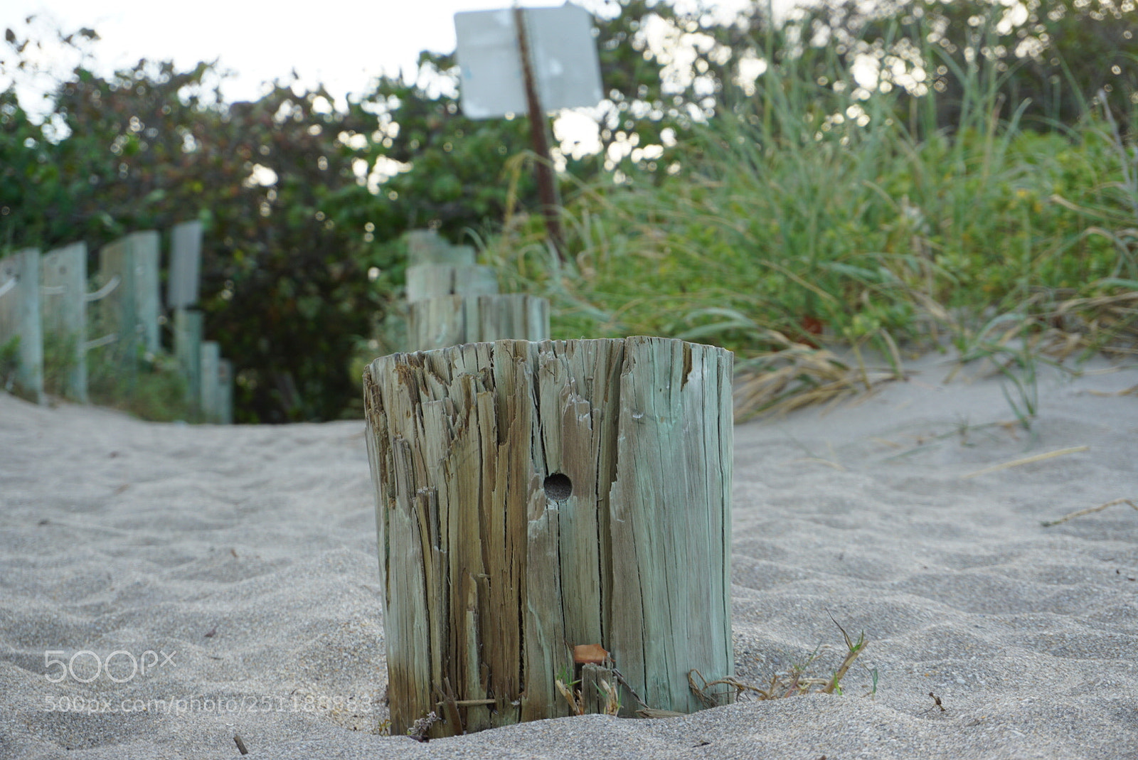 Sony a5100 sample photo. Eb e ca cec photography
