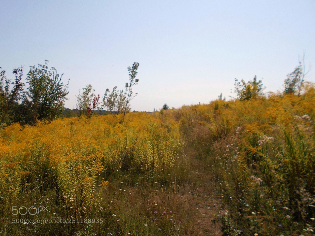 Nikon Coolpix A100 sample photo. F corig photography