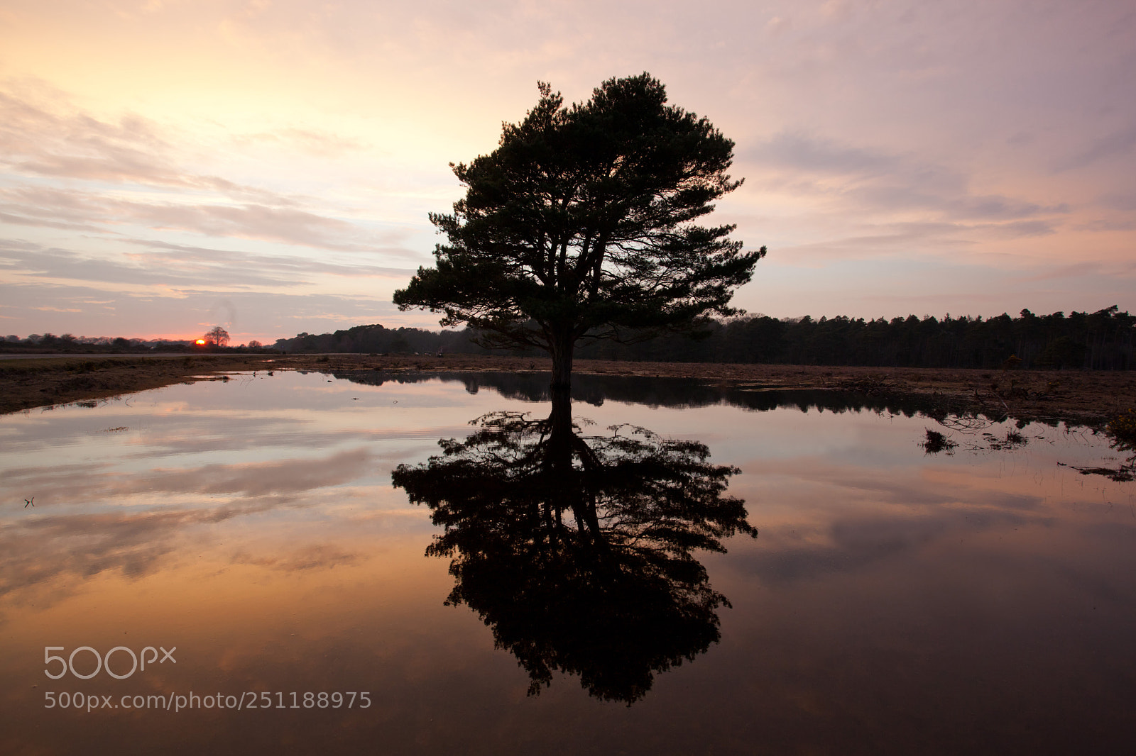 Canon EOS 5D Mark II sample photo. Sunset reflections photography