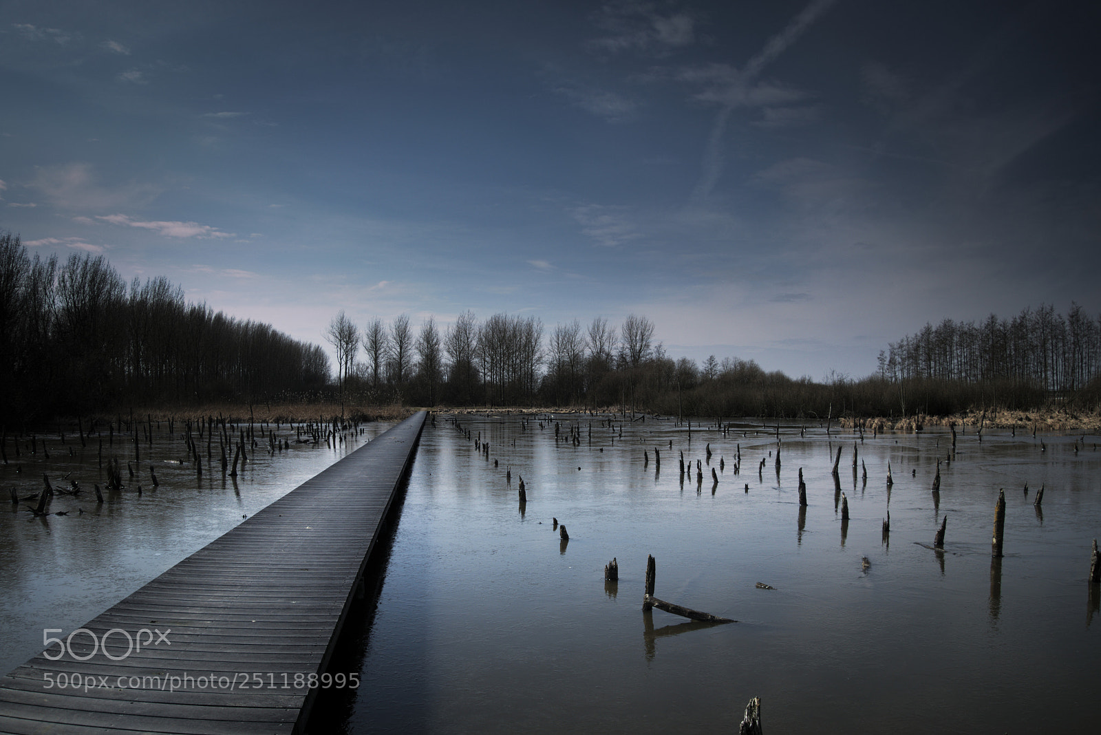 Sony Cyber-shot DSC-RX100 II sample photo. Bridge in the sunken photography