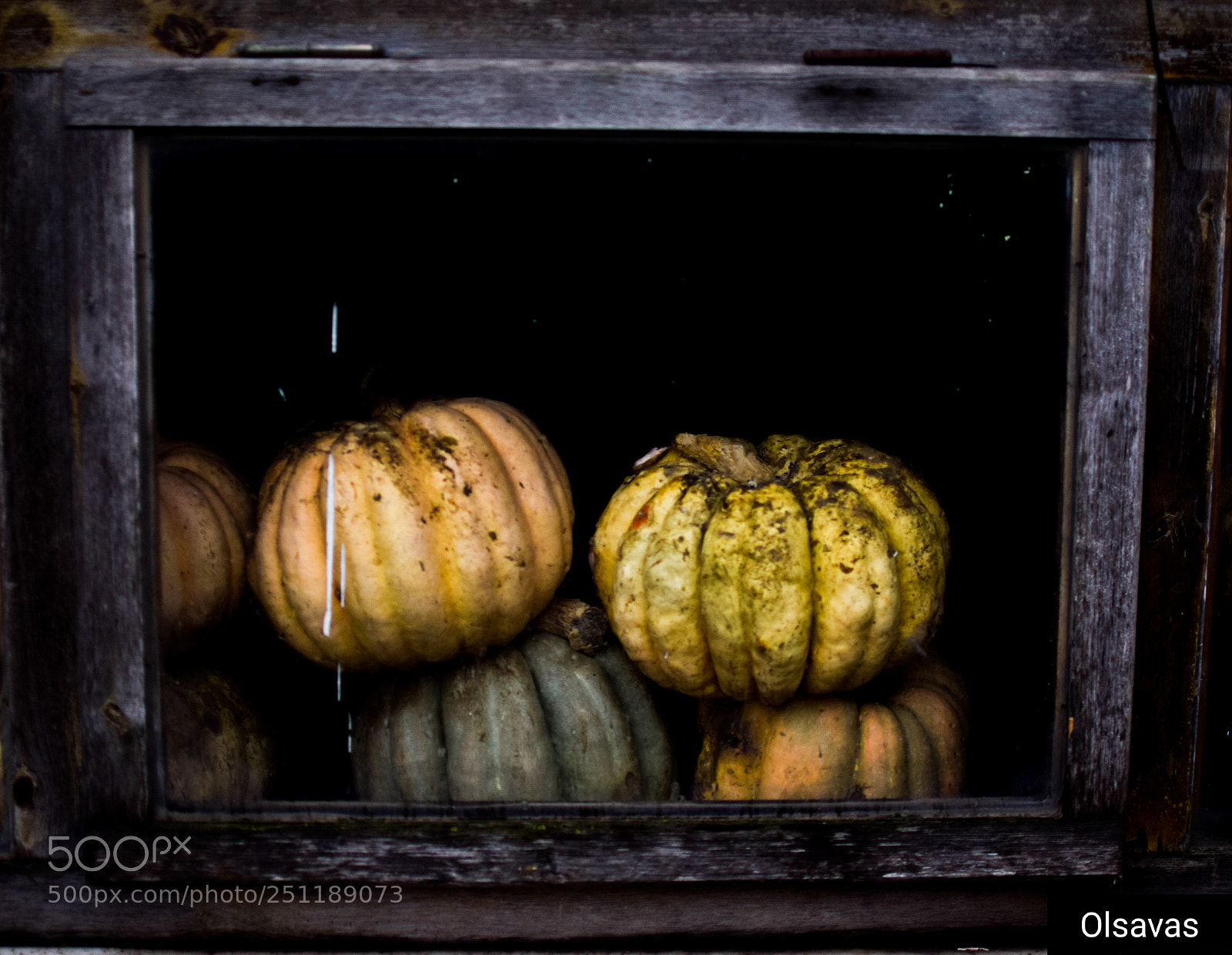 Nikon D5300 sample photo. Balkabakları photography
