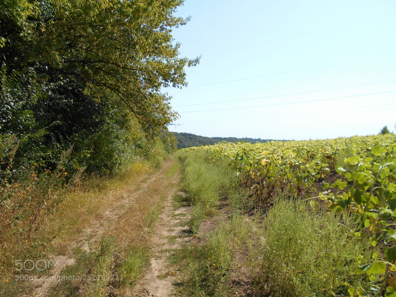 Nikon Coolpix A100 sample photo. B cborig photography