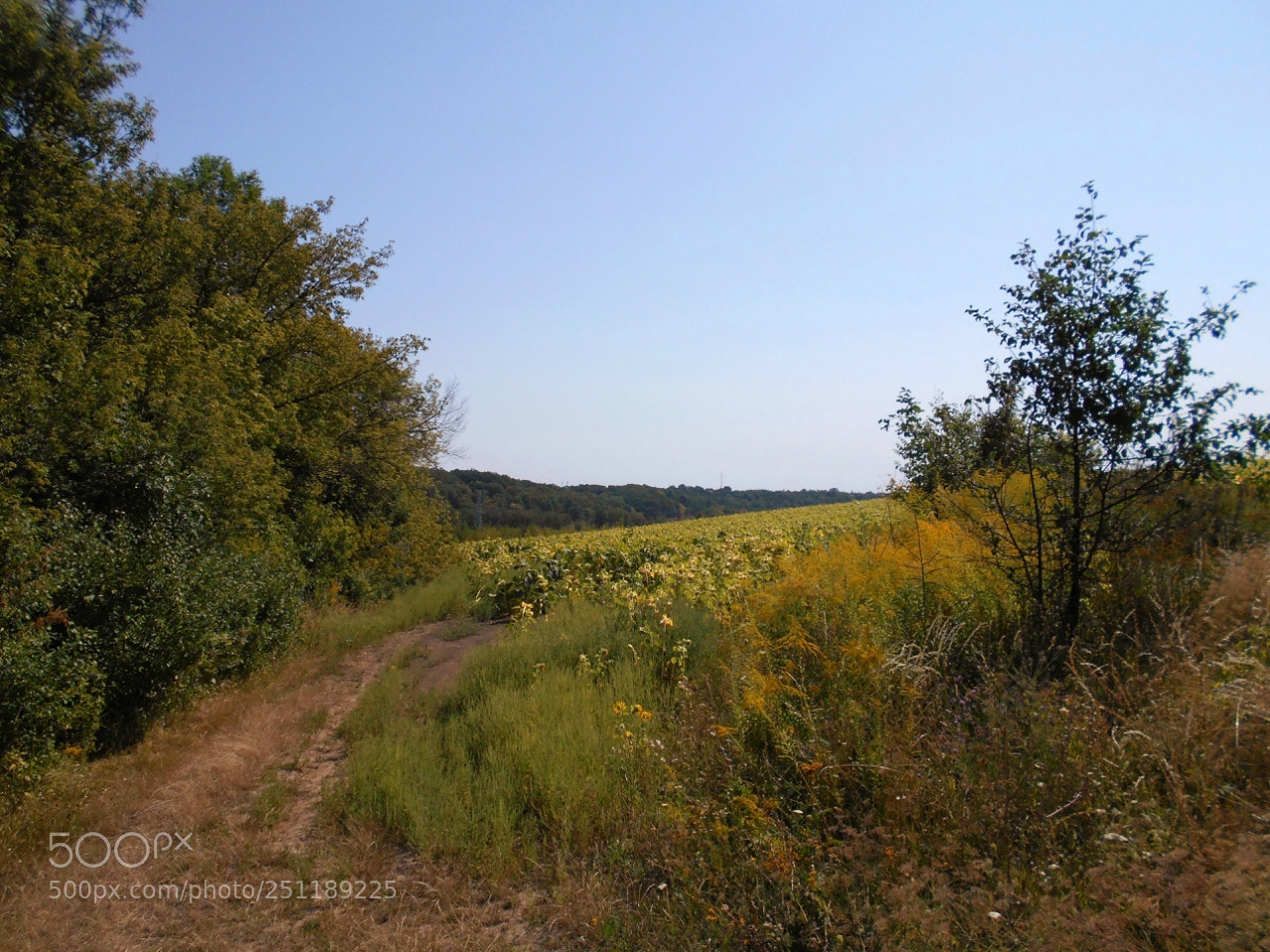 Nikon Coolpix A100 sample photo. C dorig photography