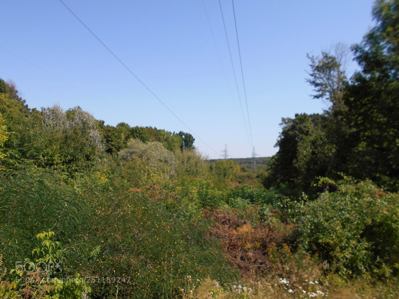 Nikon Coolpix A100 sample photo. D fecc orig photography