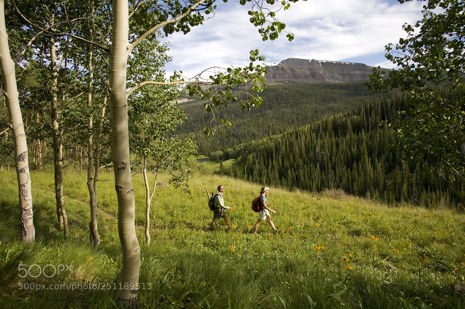 Canon EOS 5D sample photo. Flattops photography