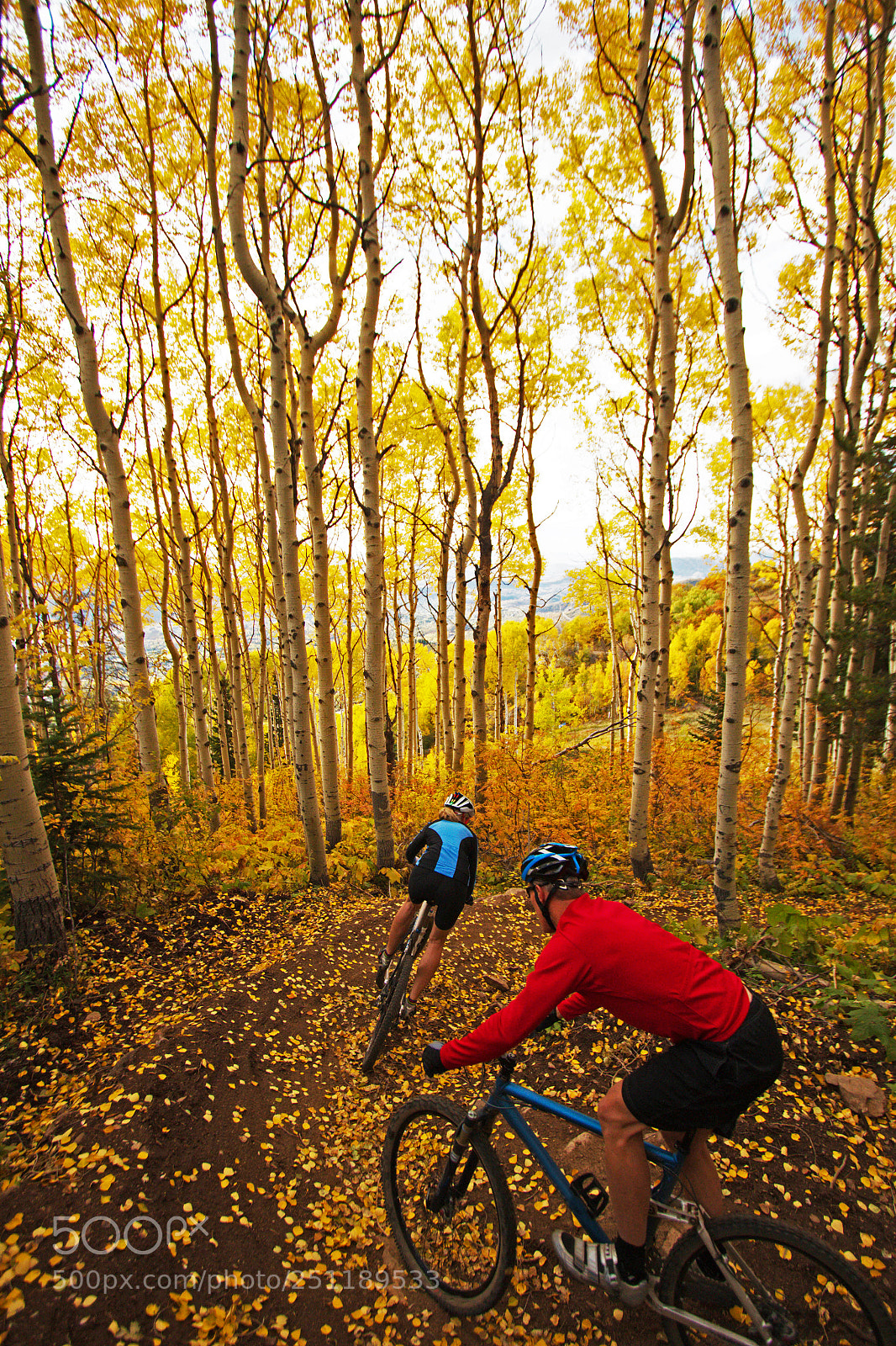 Canon EOS 70D sample photo. Mountainbikingcoloradofall photography