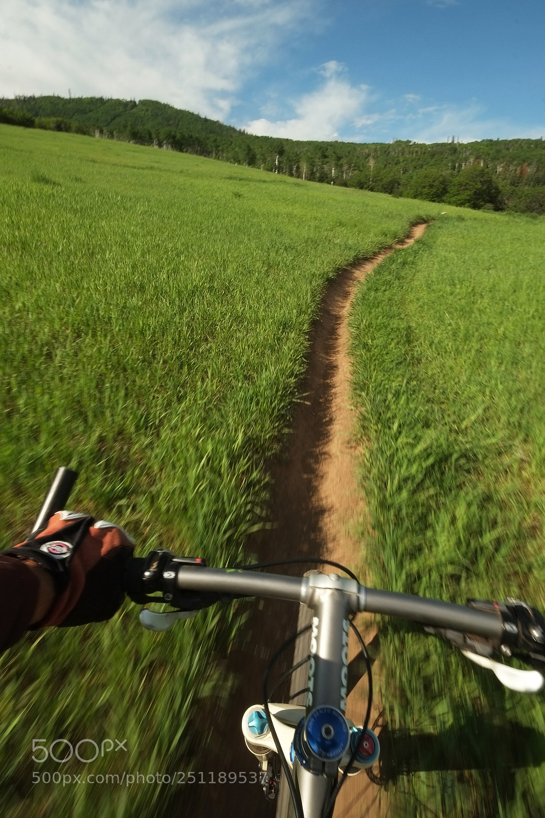 Fujifilm X-Pro1 sample photo. Moots pov photography
