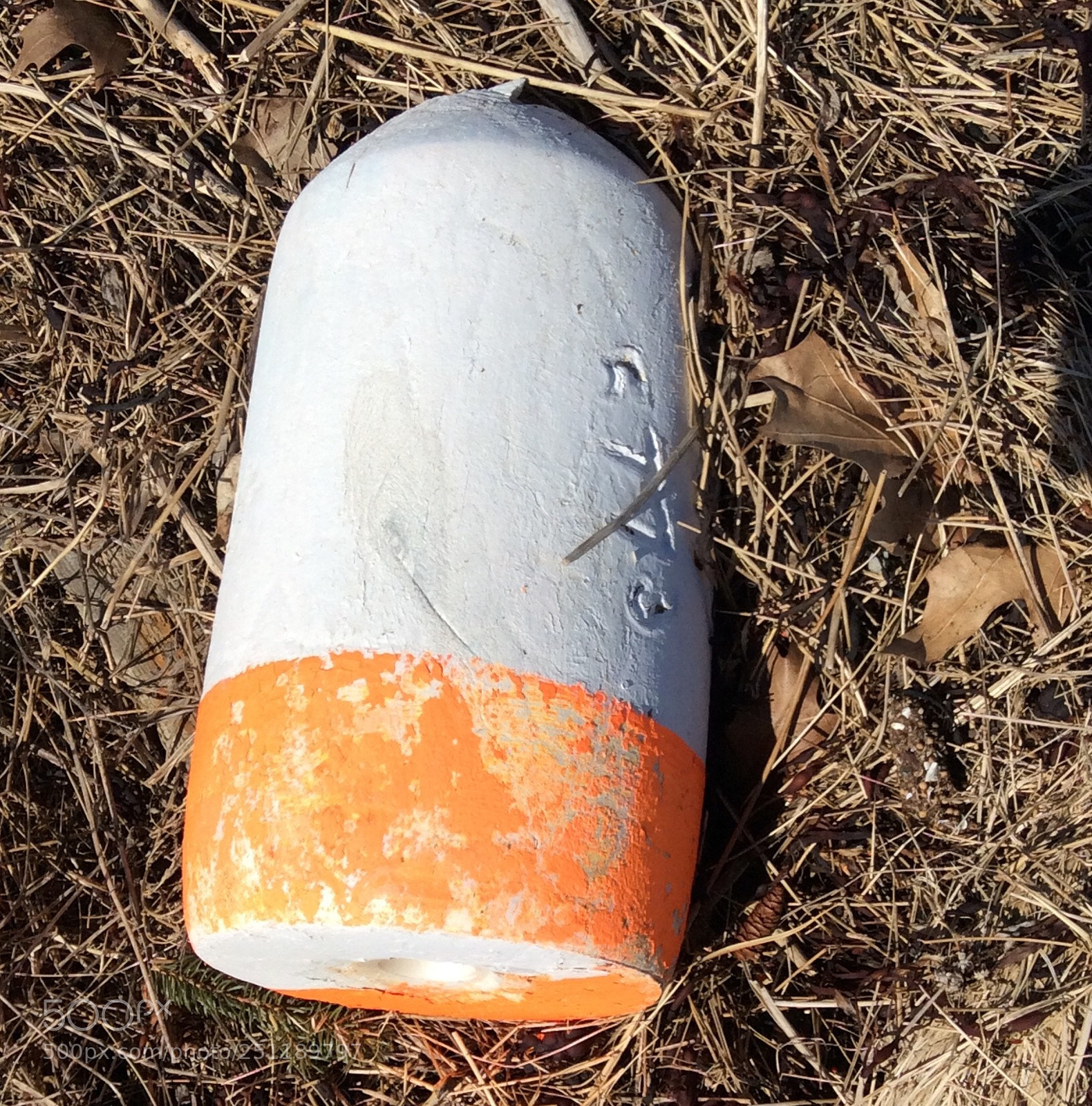 Apple iPad mini 2 sample photo. Faded buoy in maine photography