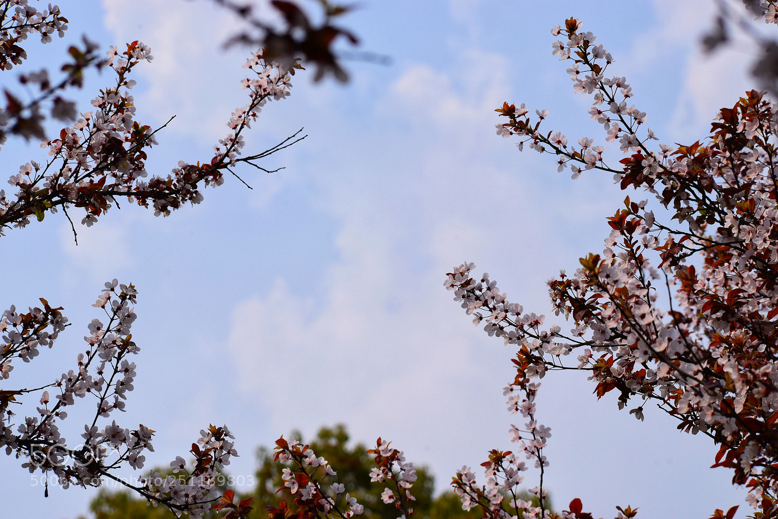 Nikon D5300 sample photo. Untitled photography