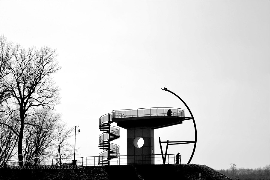 Nikon D610 sample photo. Viewpoint photography