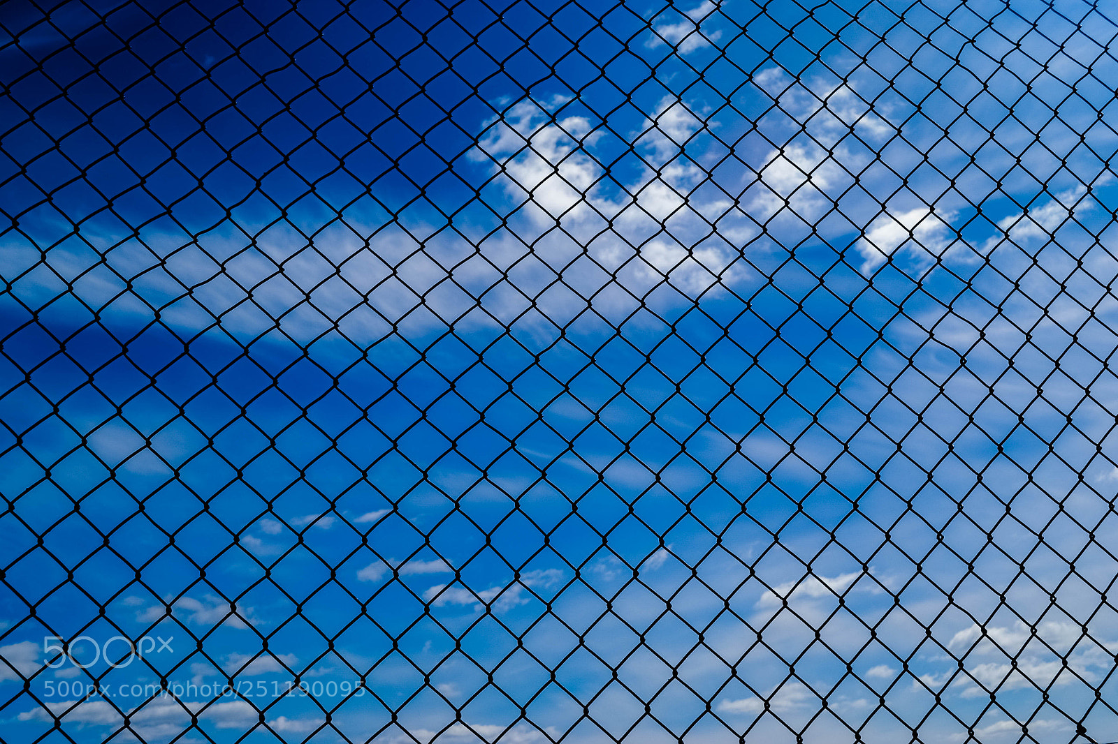 Nikon D3100 sample photo. Fence photography