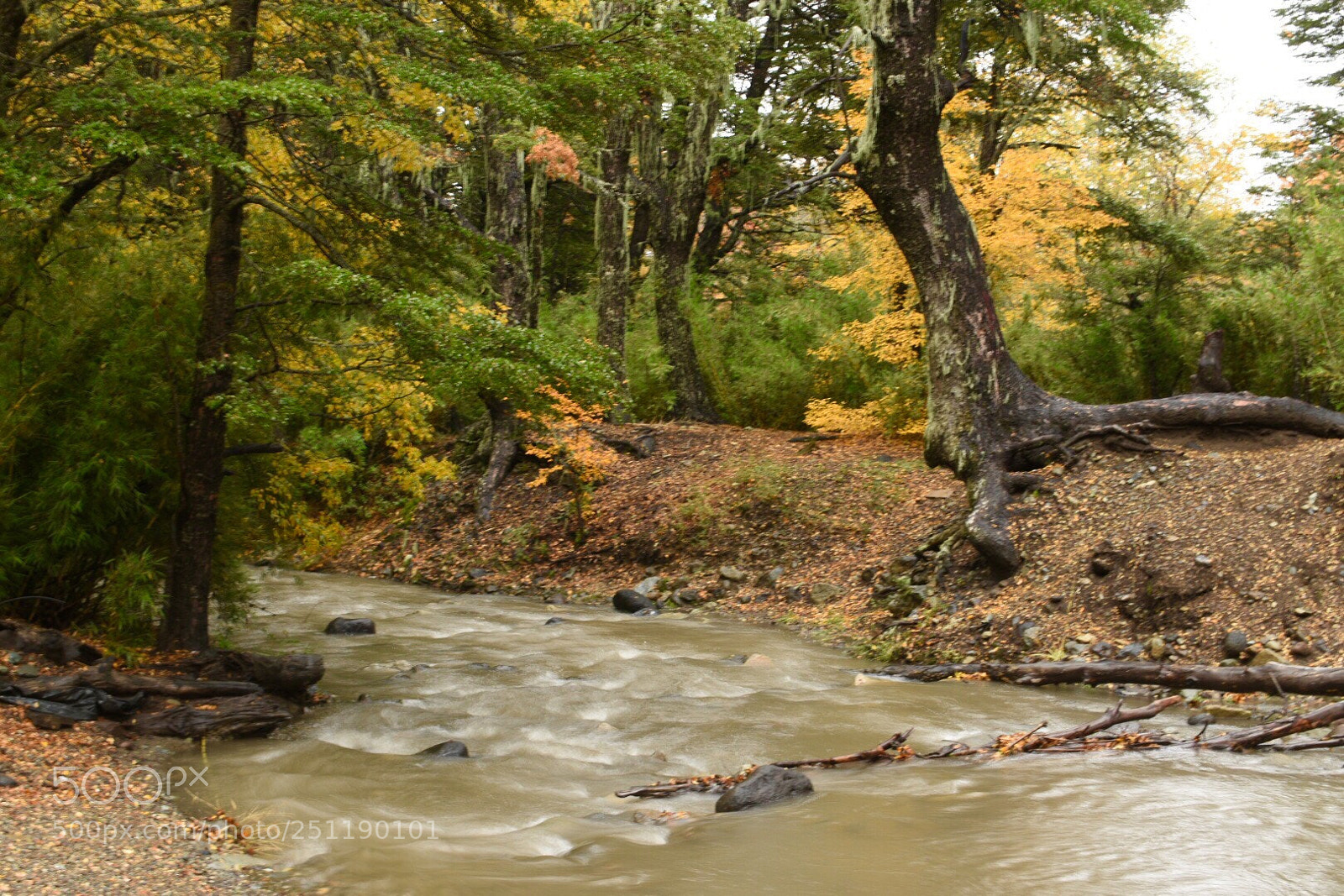 Nikon D5500 sample photo. Camino a termas de photography