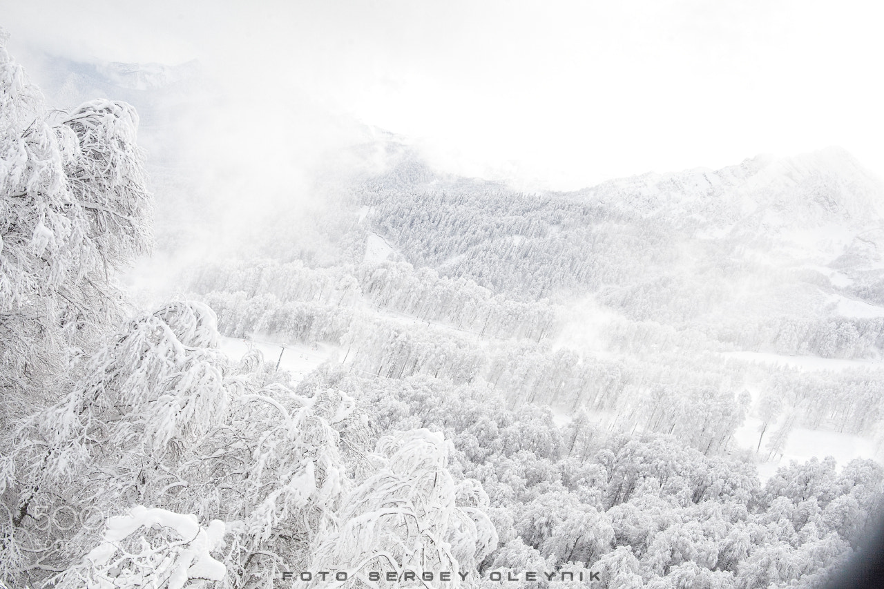 Canon EOS 5D Mark II sample photo. Winter's tale photography
