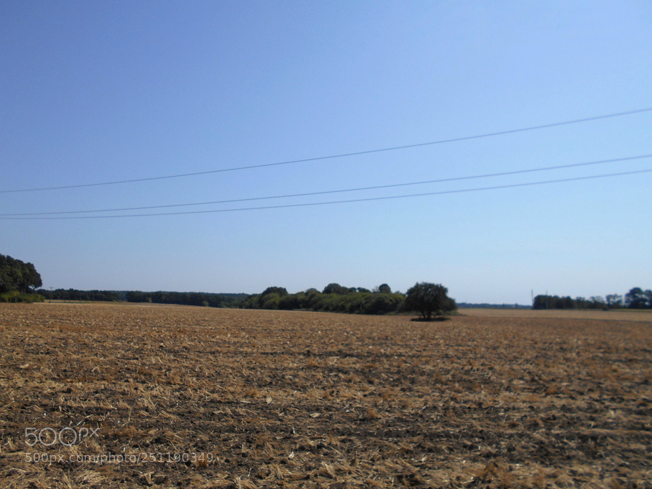 Nikon Coolpix A100 sample photo. A caforig photography
