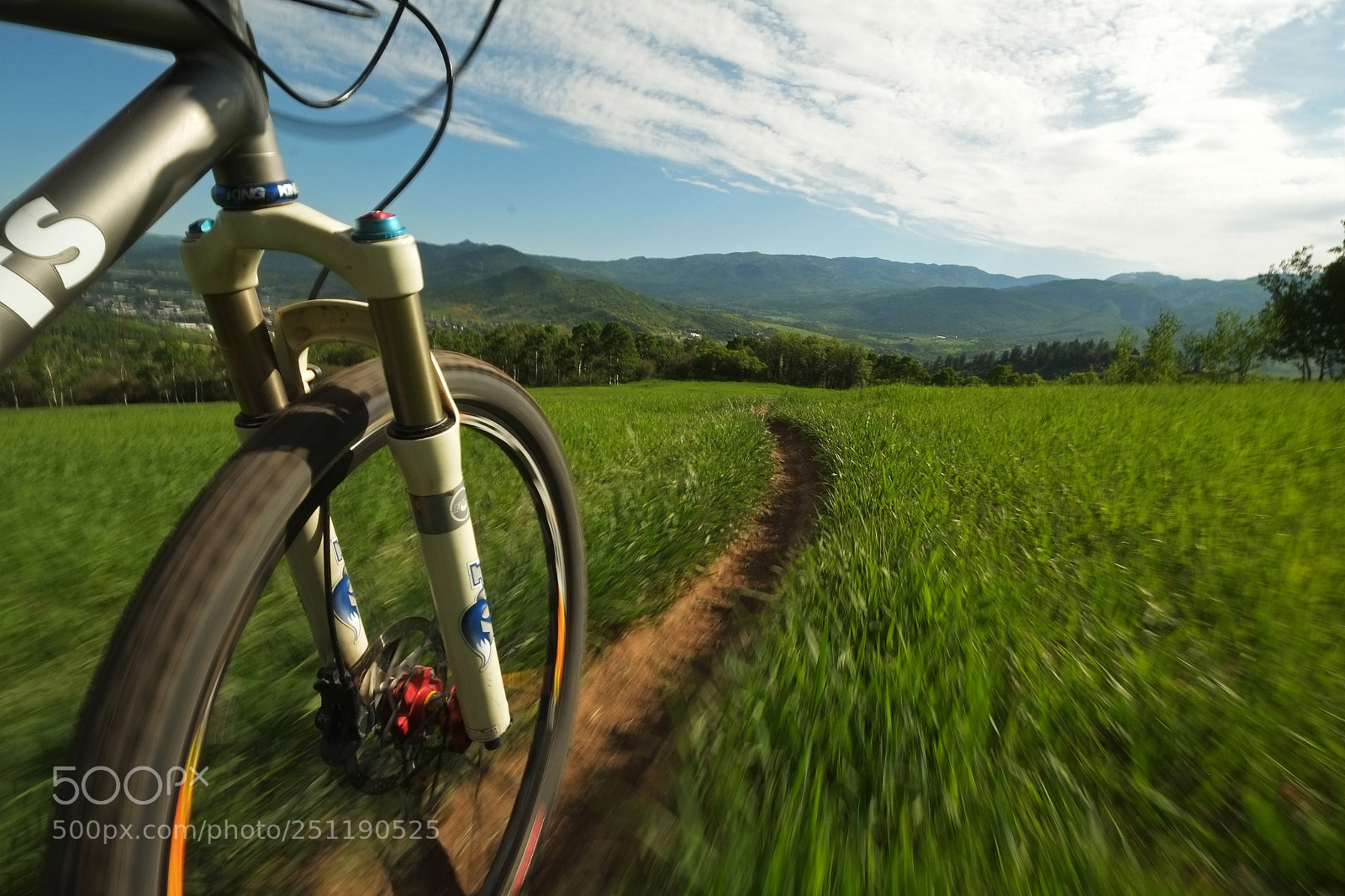 Fujifilm X-Pro1 sample photo. S photography