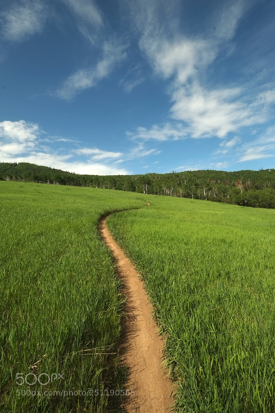 Fujifilm X-Pro1 sample photo. Singletrack trail photography