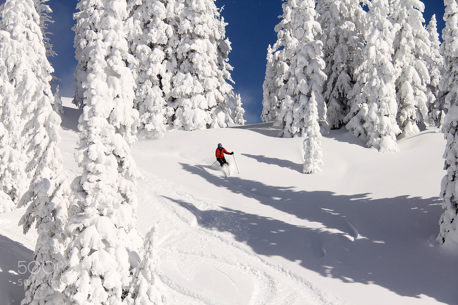 Canon EOS 60D sample photo. Ski powder photography