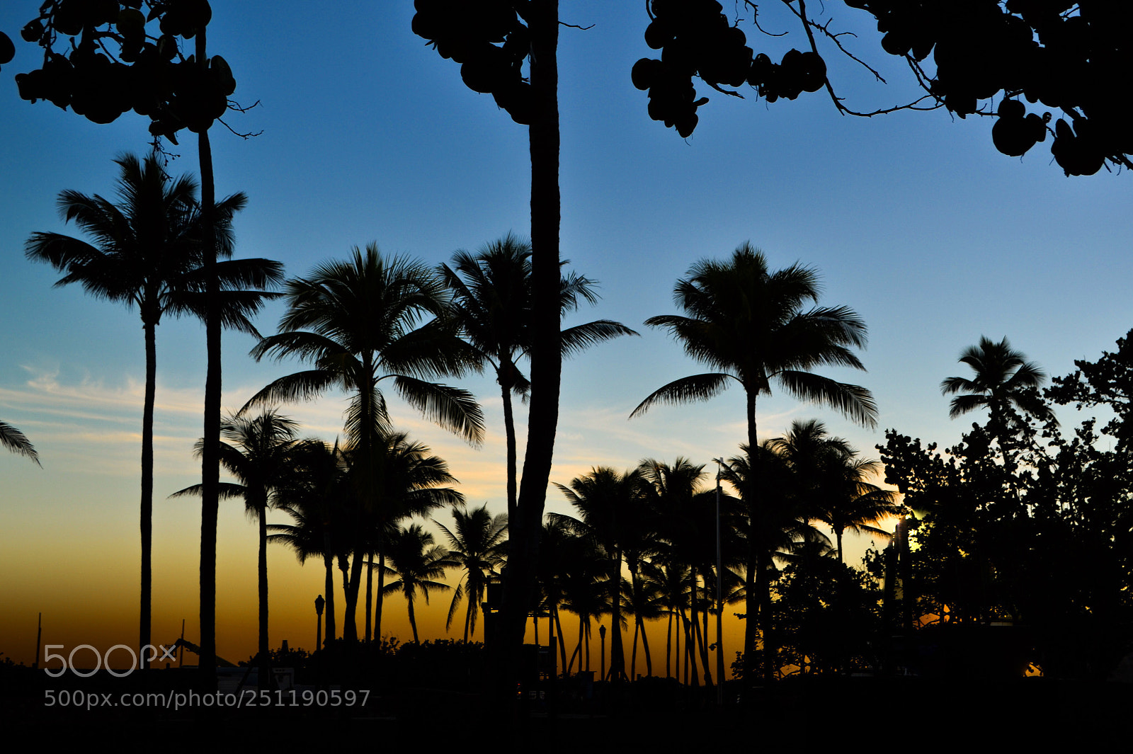 Nikon D3100 sample photo. South beach sunset  photography