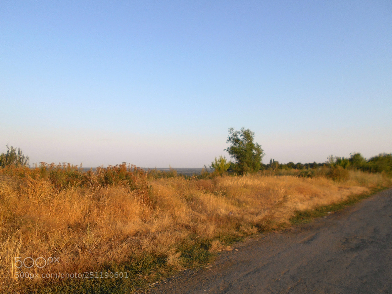 Nikon Coolpix A100 sample photo. Fe aead orig photography