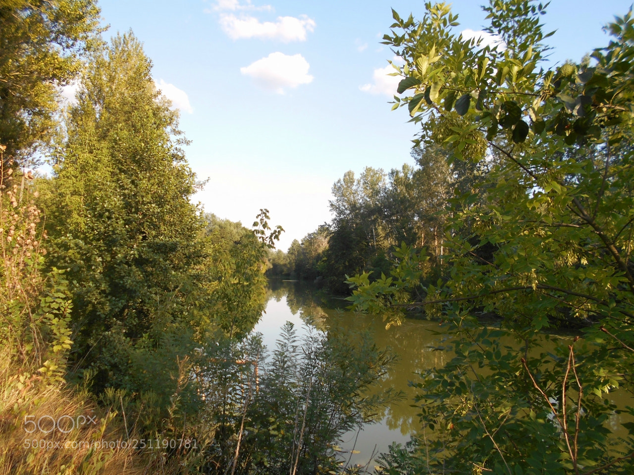 Nikon Coolpix A100 sample photo. Fae orig photography