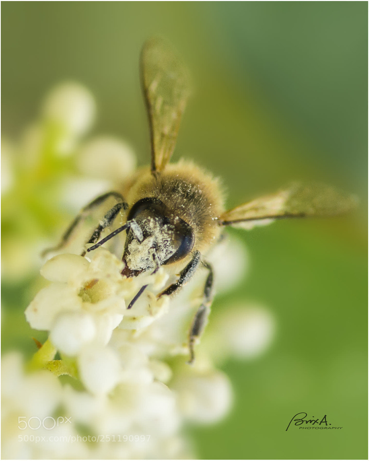 Nikon D800E sample photo. Untitled photography