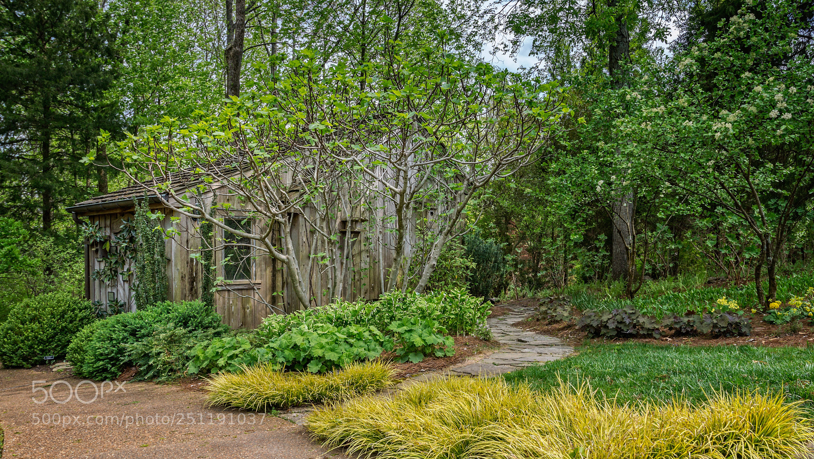Sony SLT-A77 sample photo. Old gardener's tool shed photography