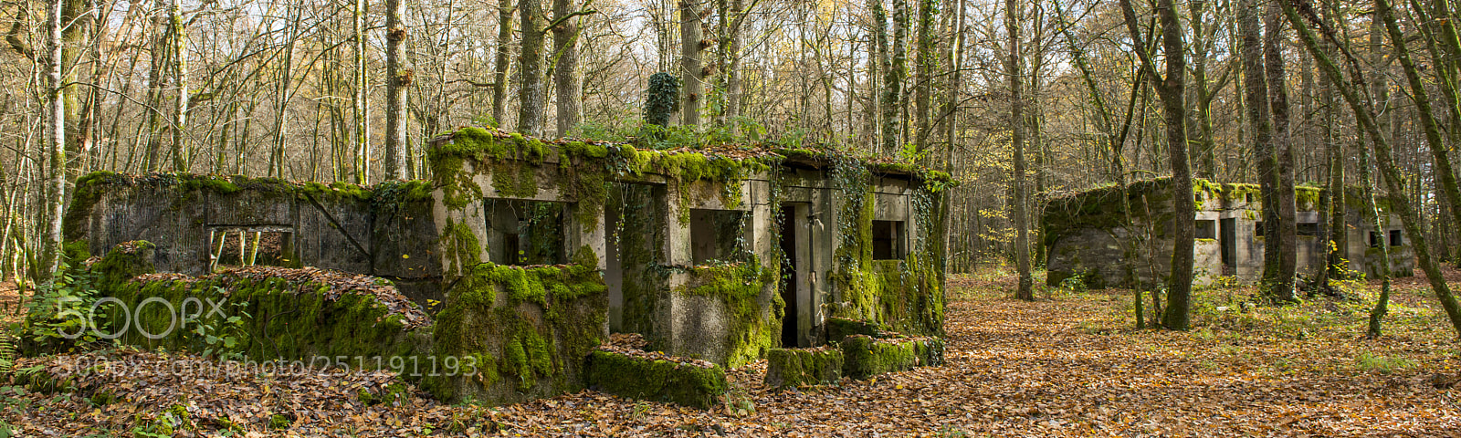 Nikon D800 sample photo. Concrete buidlings in the photography