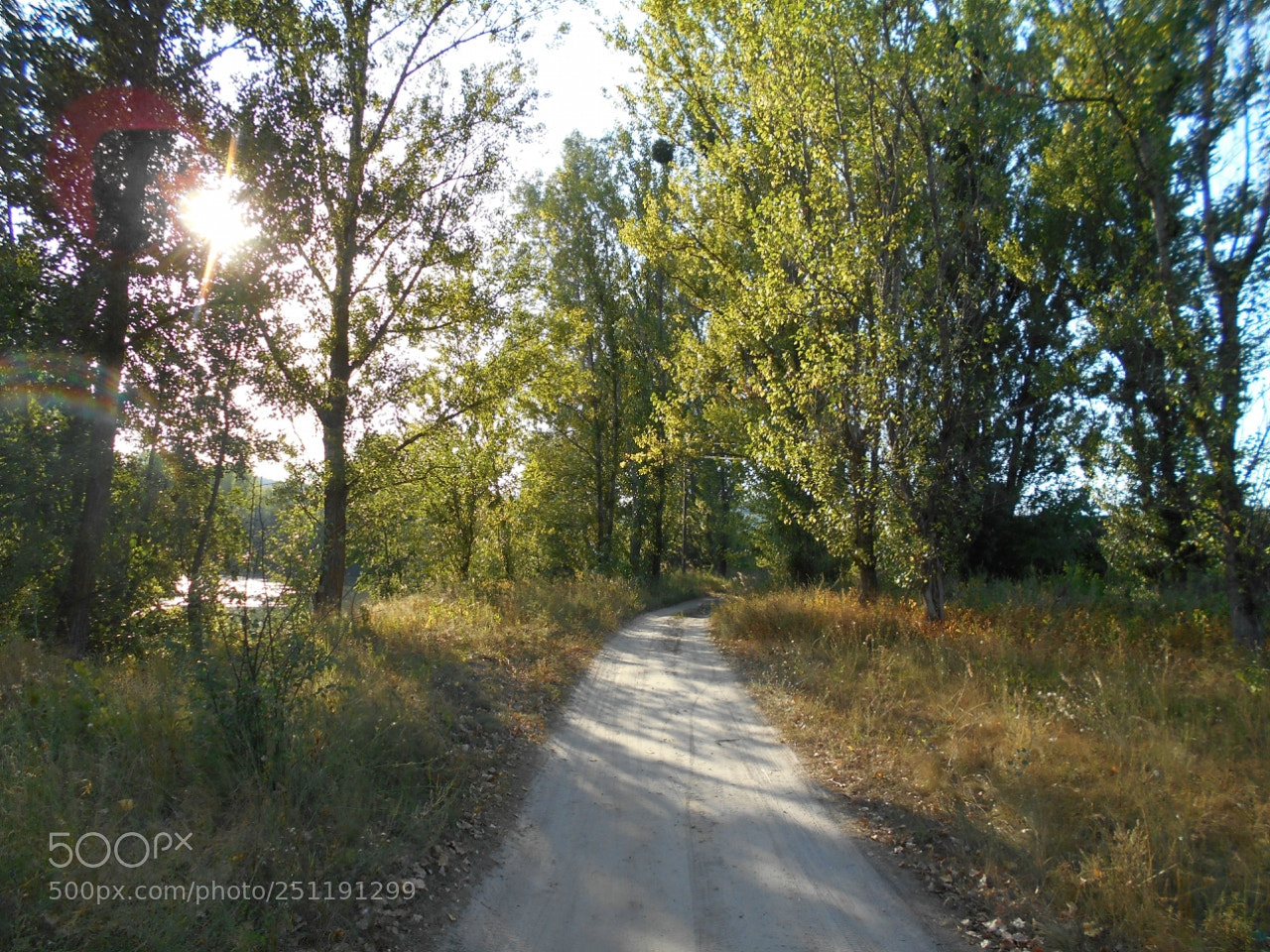 Nikon Coolpix A100 sample photo. Febaef orig photography