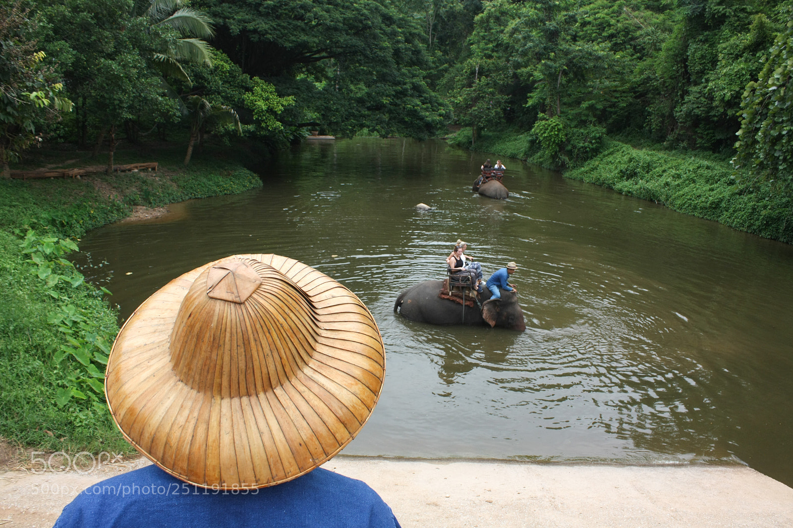 Canon EOS 450D (EOS Rebel XSi / EOS Kiss X2) sample photo. Walking with elephants photography
