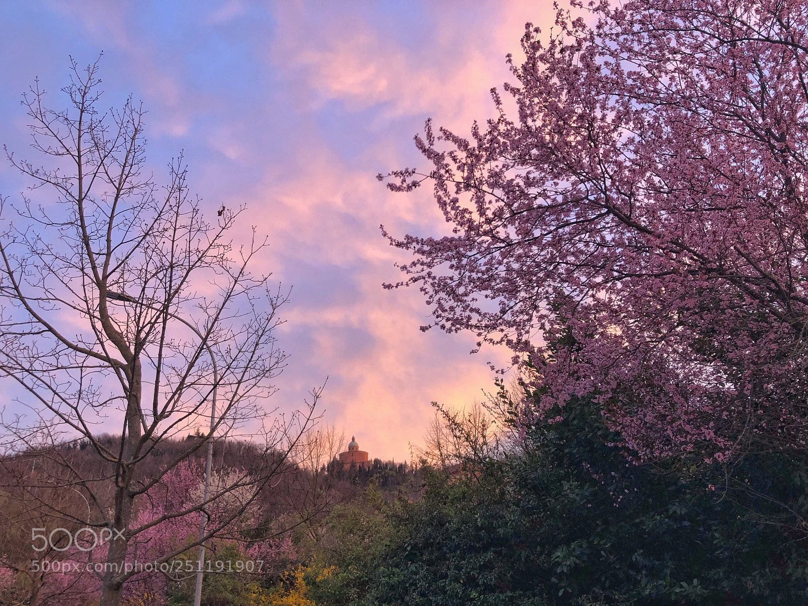 Apple iPhone 8 sample photo. Spring in bologna photography