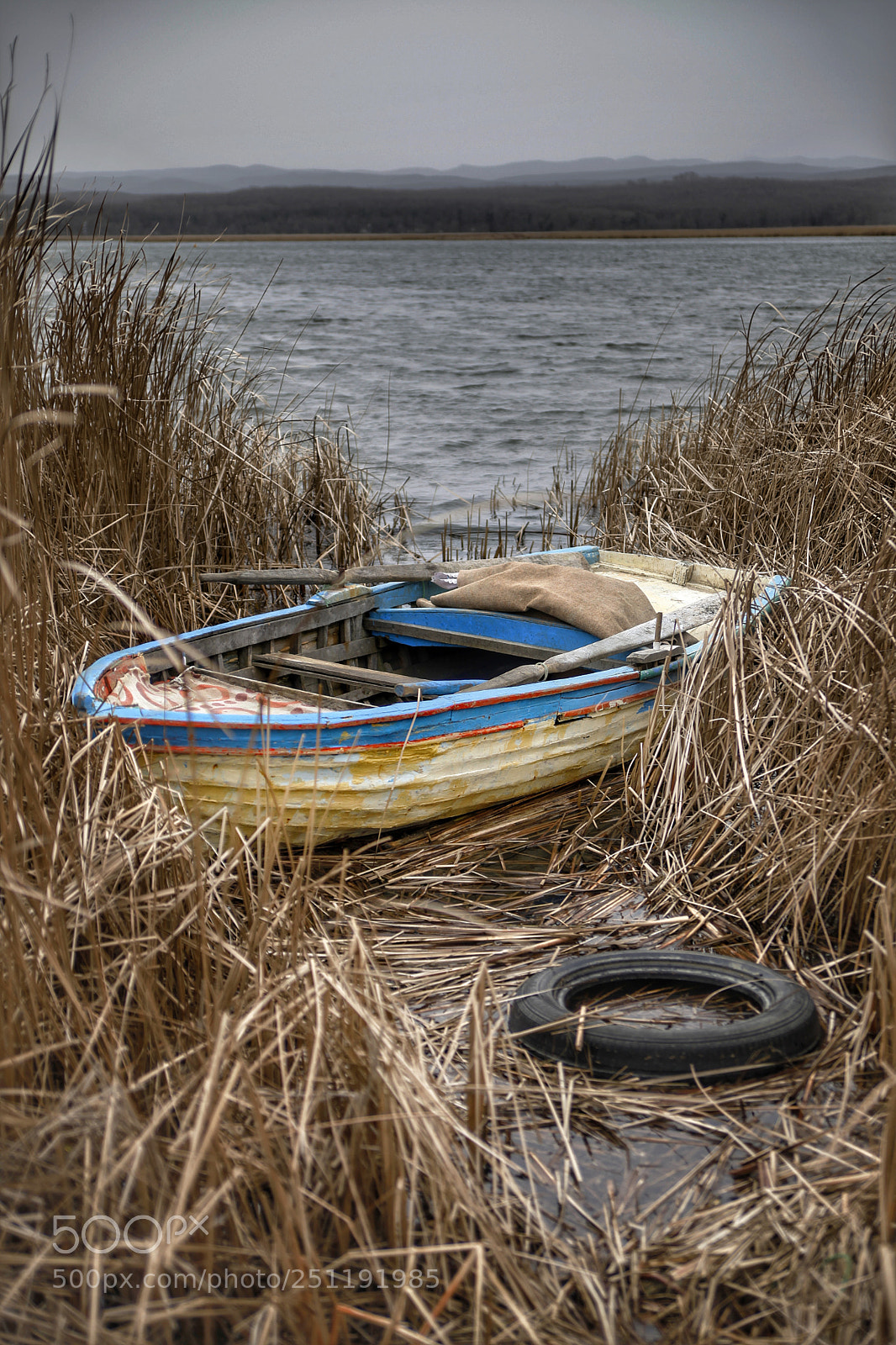 Canon EOS 5D Mark II sample photo. Untitled photography