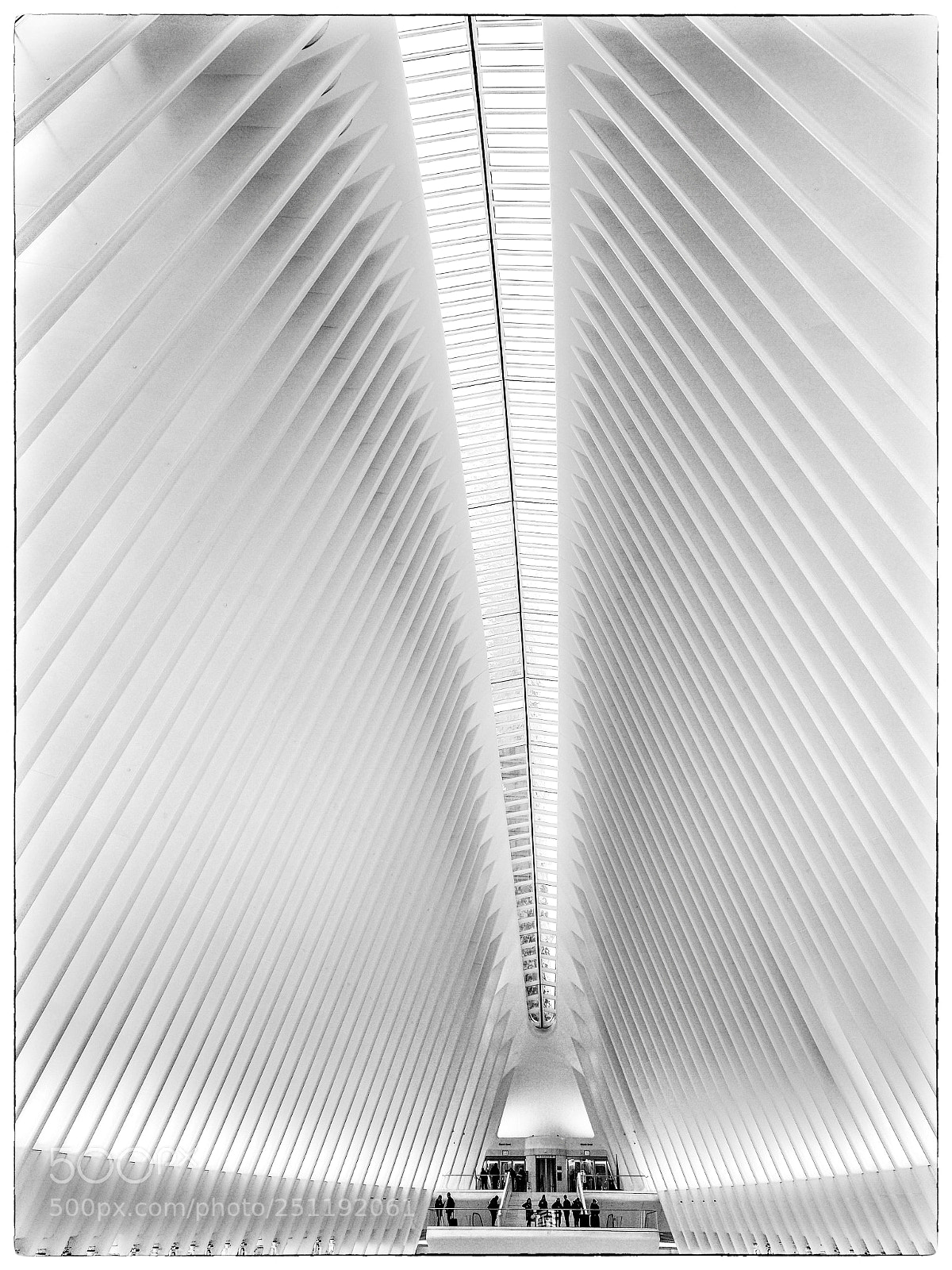 Olympus OM-D E-M1 Mark II sample photo. Oculus - wtc path photography
