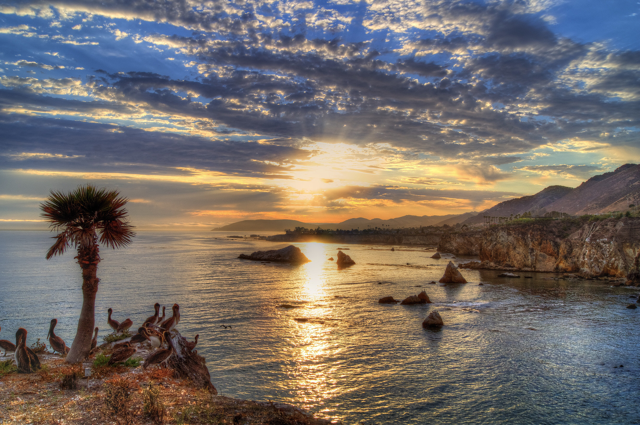 Sony SLT-A35 sample photo. Sunset @ pismo beach photography