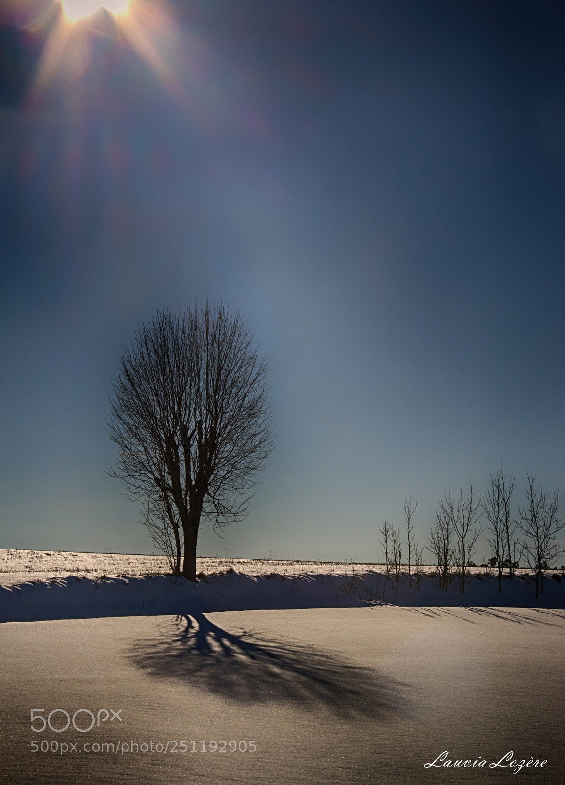 Canon EOS 60D sample photo. A l'ombre de l'arbre photography