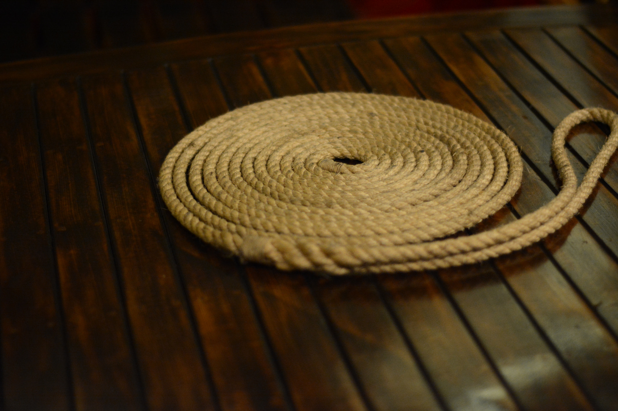 Nikon D7100 sample photo. Rope photography