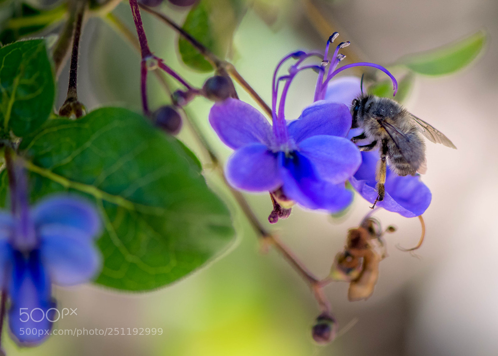 Nikon D3300 sample photo. Colorful photography