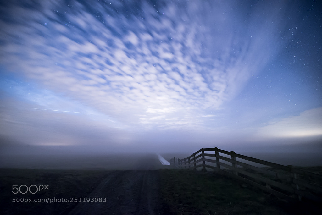 Nikon D610 sample photo. Foggy night photography