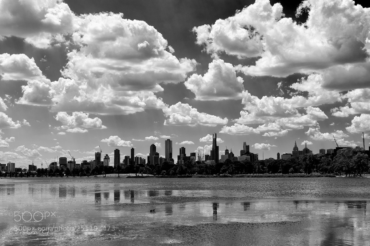 Nikon D5500 sample photo. Melbourne panoramic from albert photography