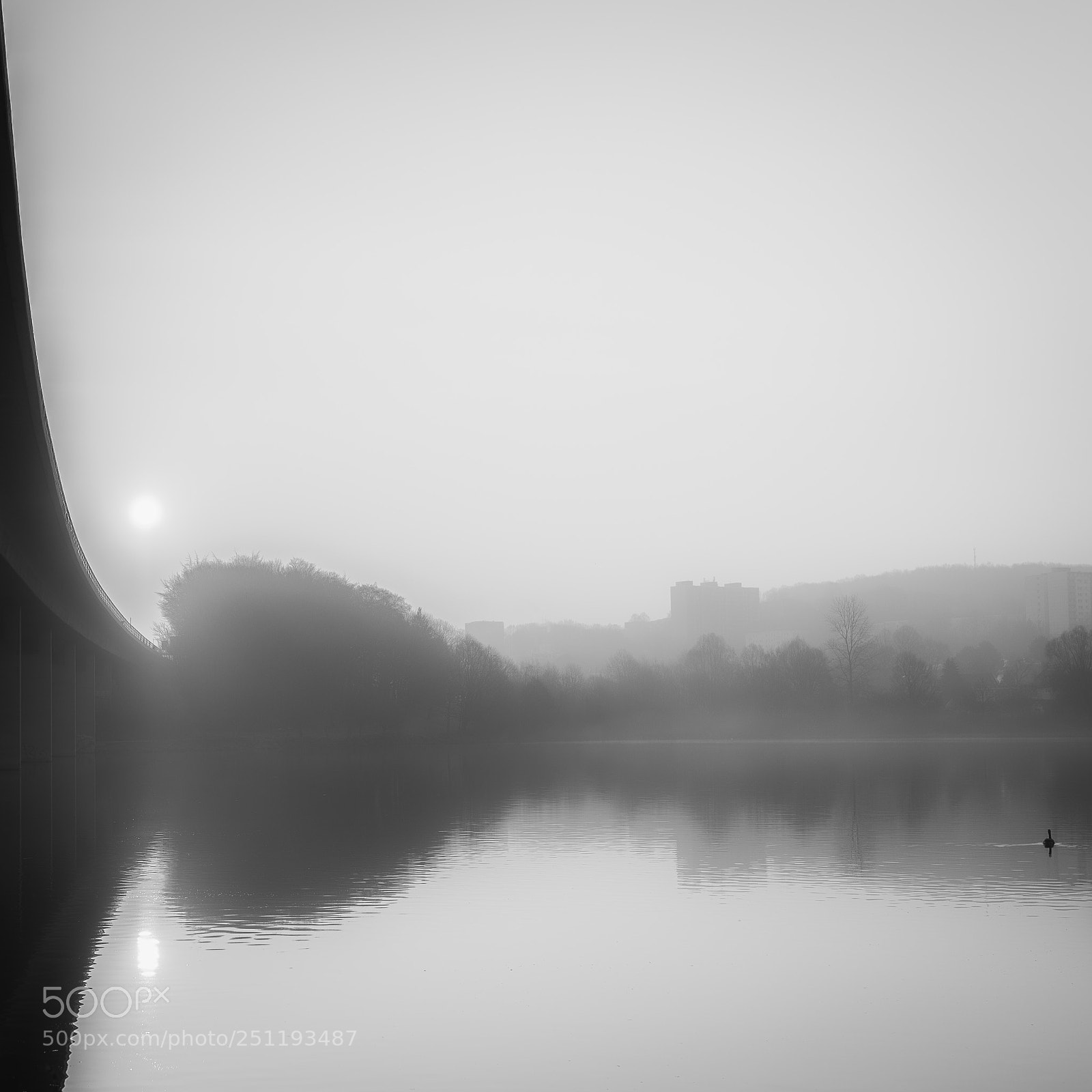 Nikon D810 sample photo. Fog over the lake photography