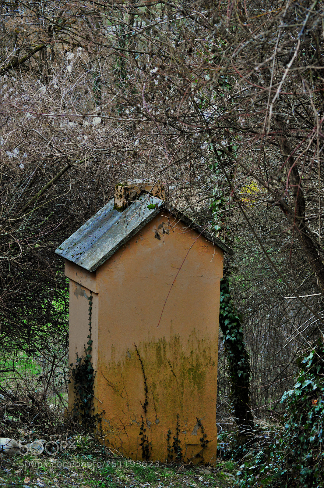Nikon D3200 sample photo. Untitled photography