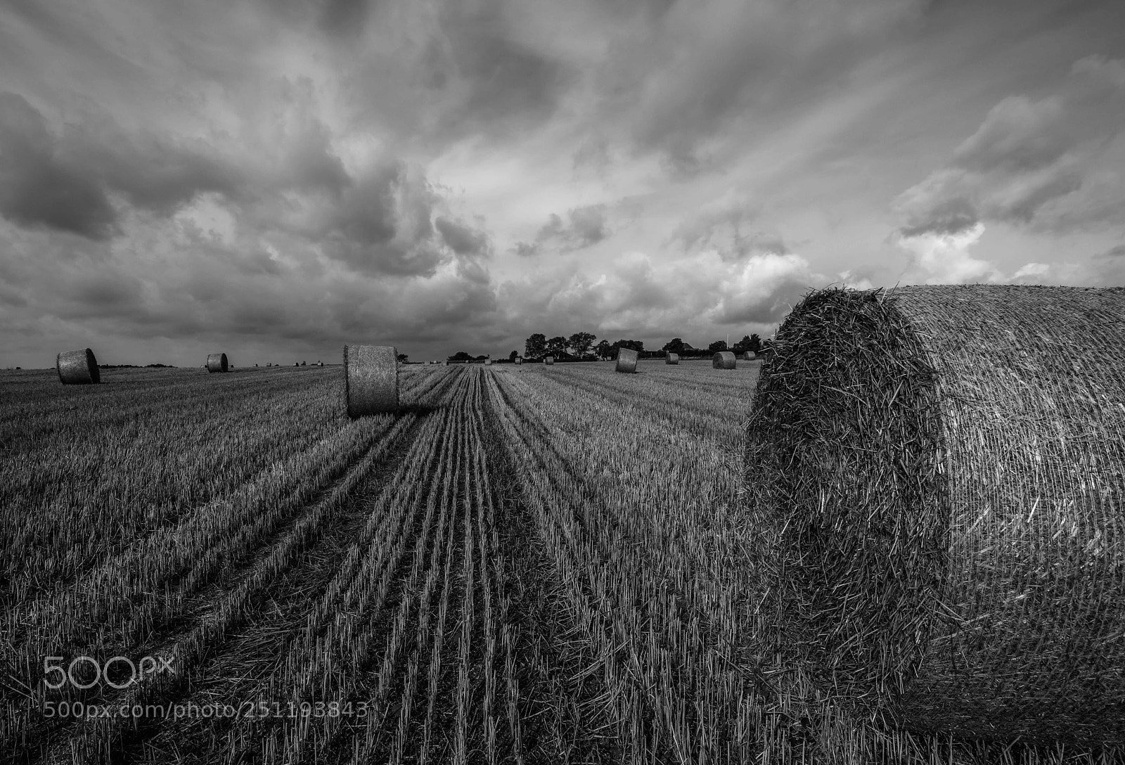 Nikon D7100 sample photo. Harvest photography