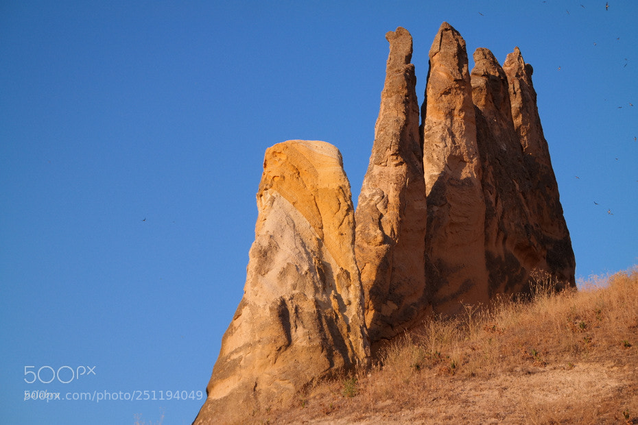 Samsung NX30 sample photo. Great time photography