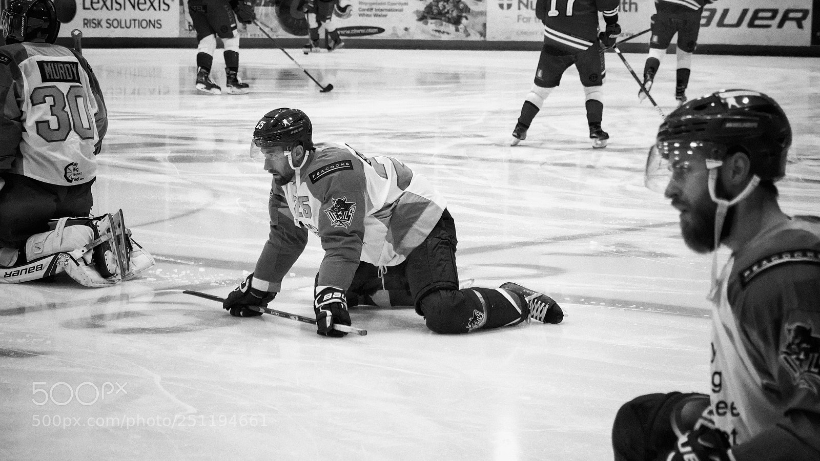 Nikon D500 sample photo. Cardiff devils v sheffield photography