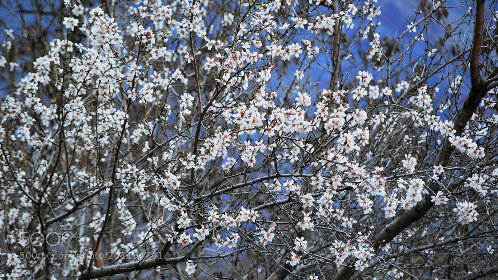 Nikon D3200 sample photo. Untitled photography