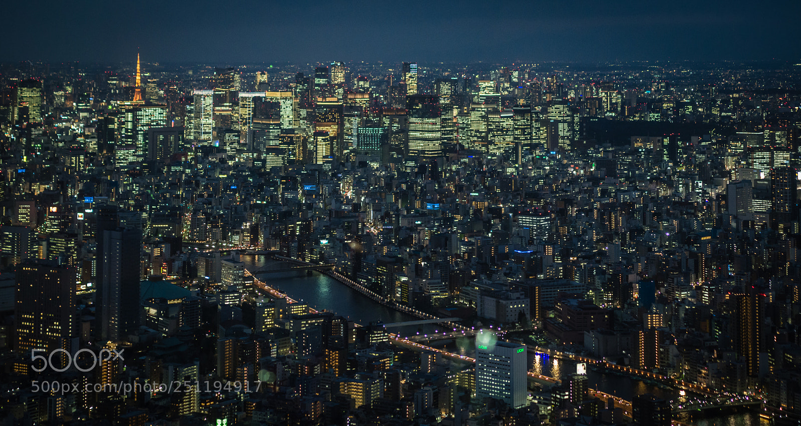 Olympus OM-D E-M10 sample photo. Tokyo skyline photography