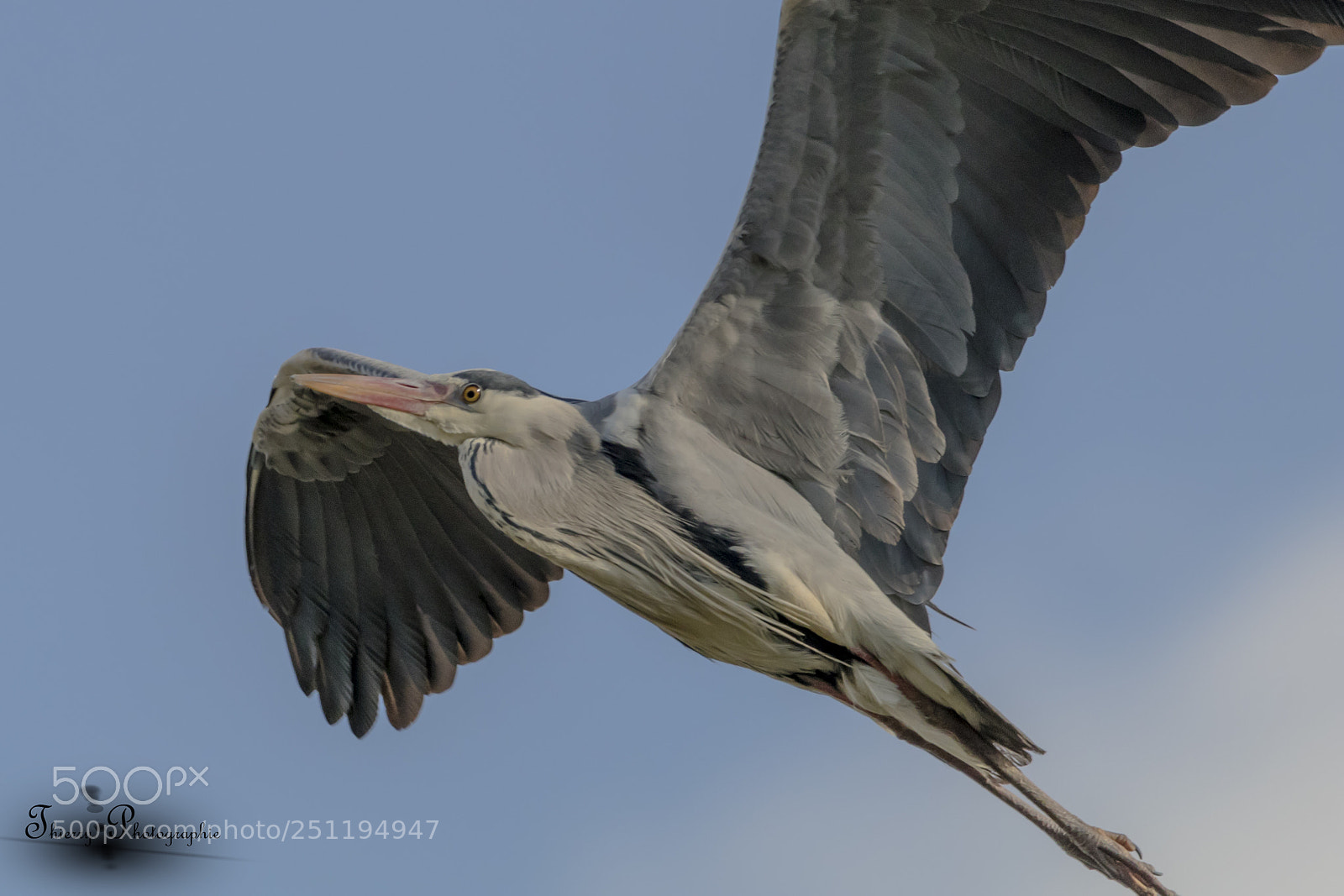 Canon EOS 80D sample photo. 1007.jpg photography