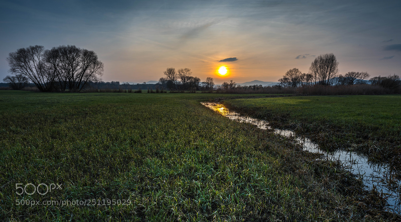 Nikon D810 sample photo. Le ried photography