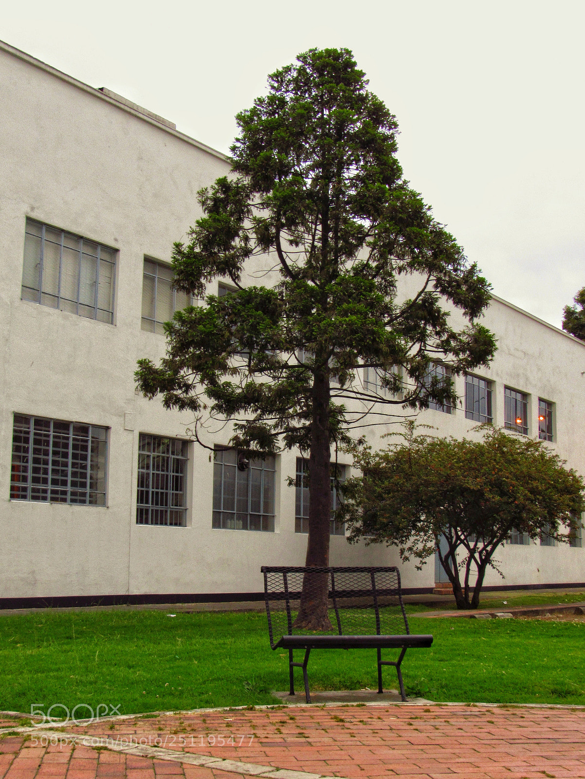 Canon PowerShot SX530 HS sample photo. (1.1) banca | park bench photography