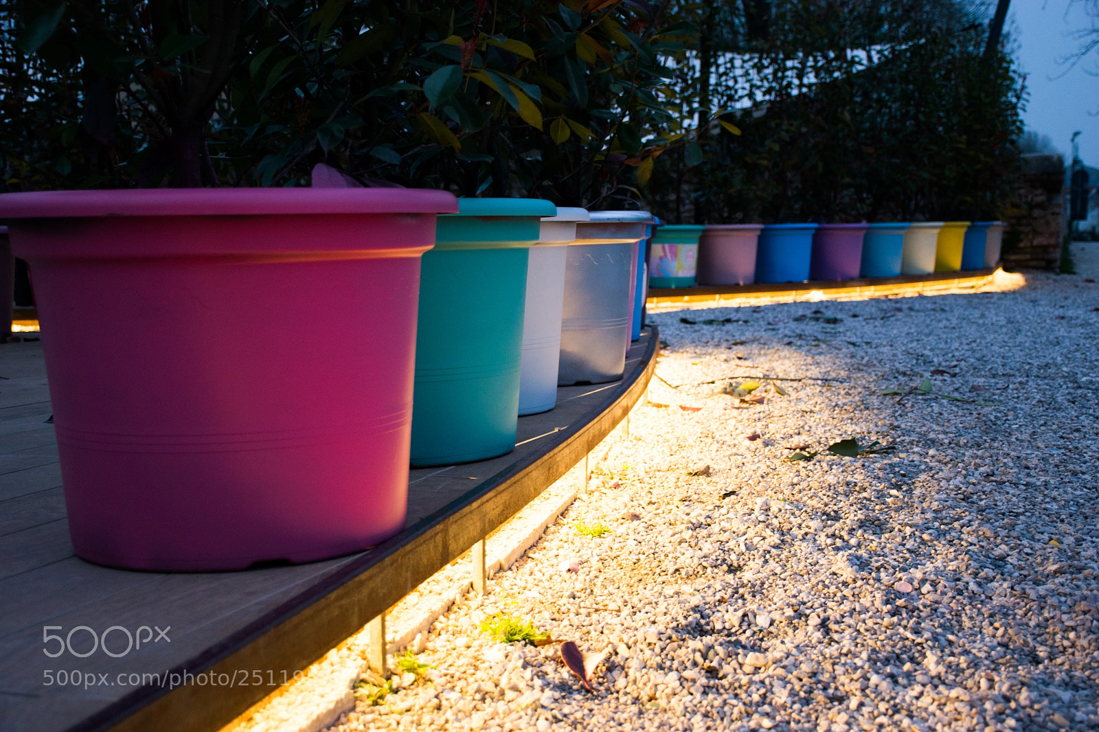 Nikon D3300 sample photo. Colorful photography
