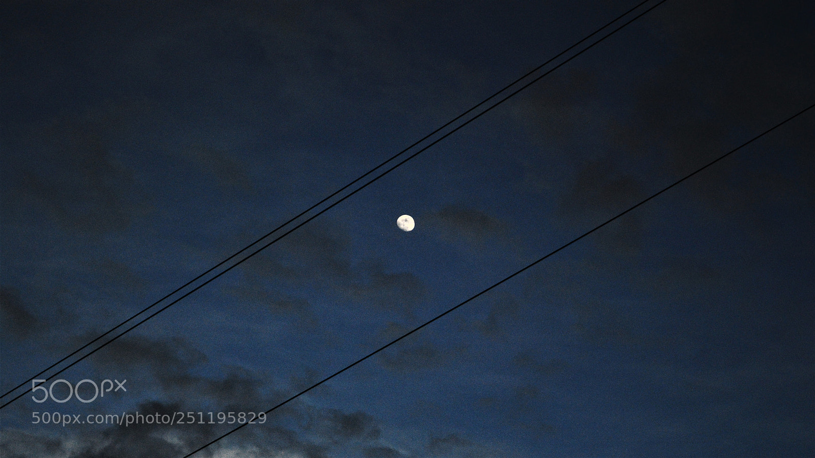 Nikon D3200 sample photo. Untitled photography